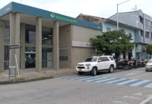 #Mepicalalengua // Plata mueve plata