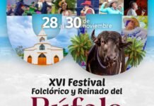 #Mepicalalengua / // la pura verdad de por qué el alcalde Carlos Plata tiene que si o si hacer los bazares del Búfalo: