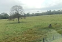 Siniestro vial en la vía a Guamal