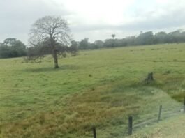 Siniestro vial en la vía a Guamal