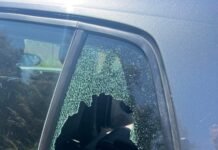 Acacías arrancó nuevo año con las ratas haciendo de las suyas