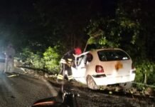Chocó contra un árbol y murió en la vía a Castilla la Nueva
