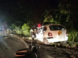 Chocó contra un árbol y murió en la vía a Castilla la Nueva