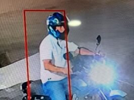 Las ‘ratas’ están incontrolables en ACACÍAS / roban pañalera