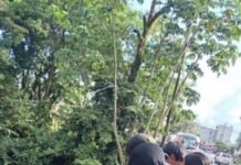 Luis Evelio se cayó al río Acaciítas desde el puente