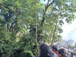 Luis Evelio se cayó al río Acaciítas desde el puente